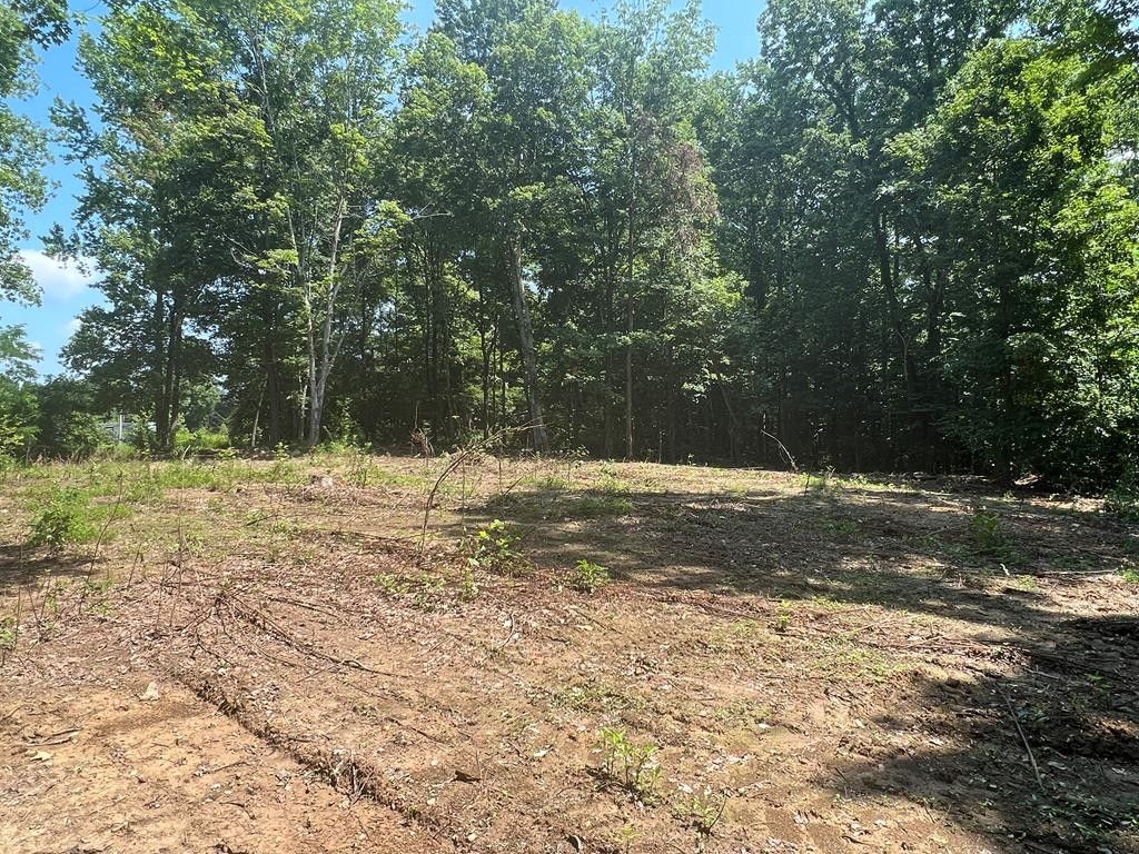 Whitleyville, Jackson County, TN Undeveloped Land for sale Property ID