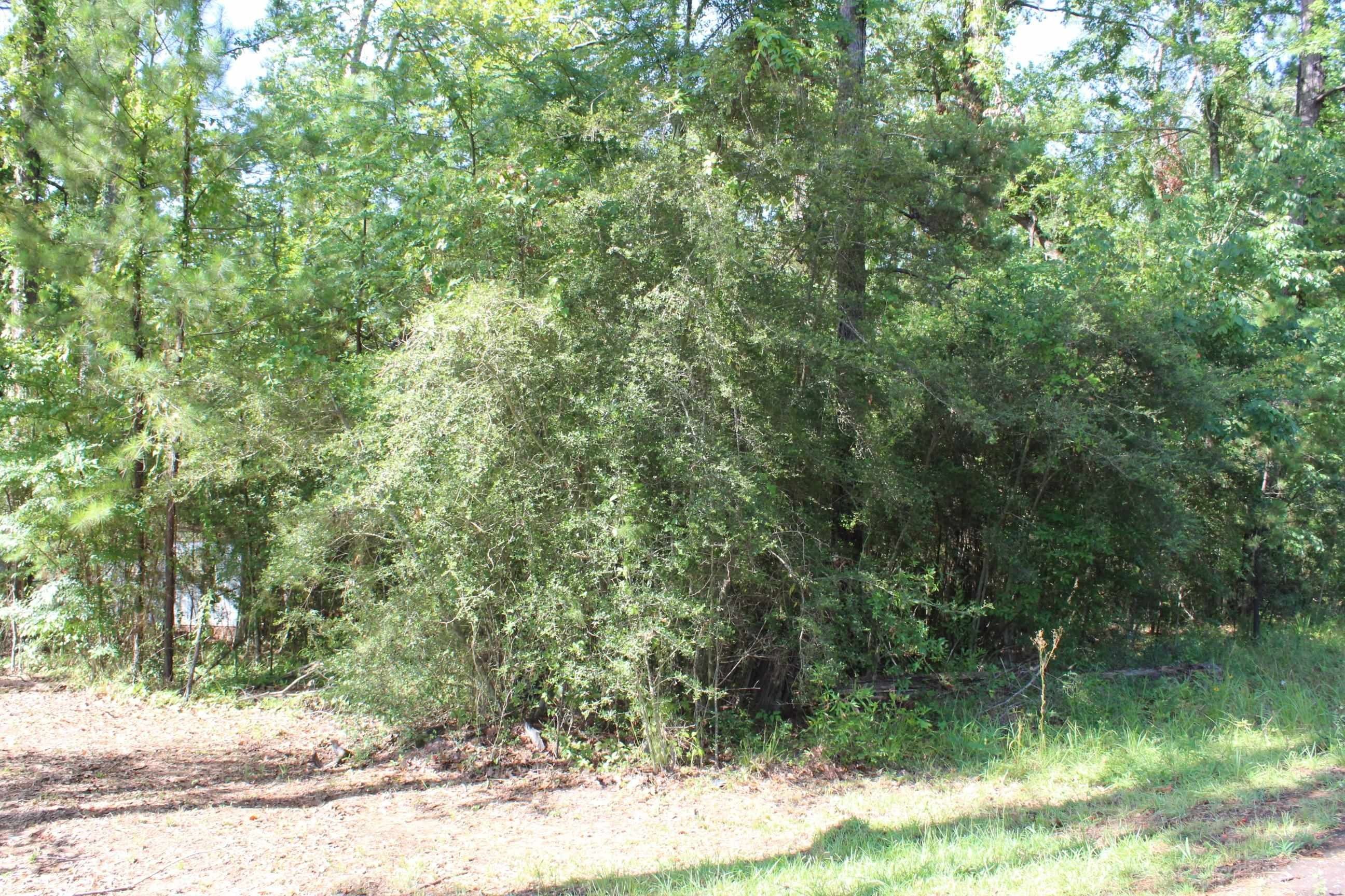 Hemphill, Sabine County, TX Farms and Ranches, Homesites for sale