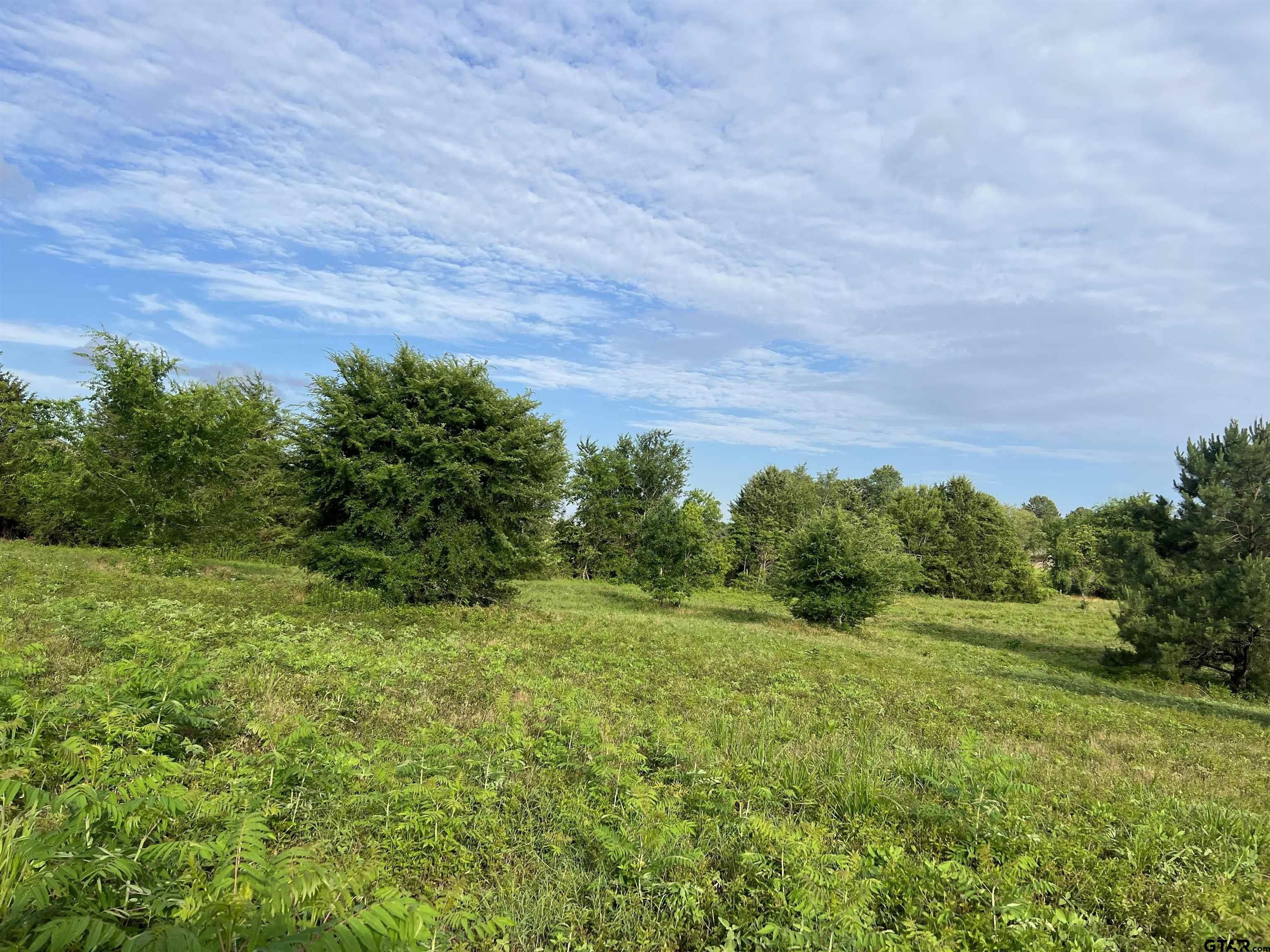 Tyler, Smith County, TX Farms and Ranches, Homesites for sale Property