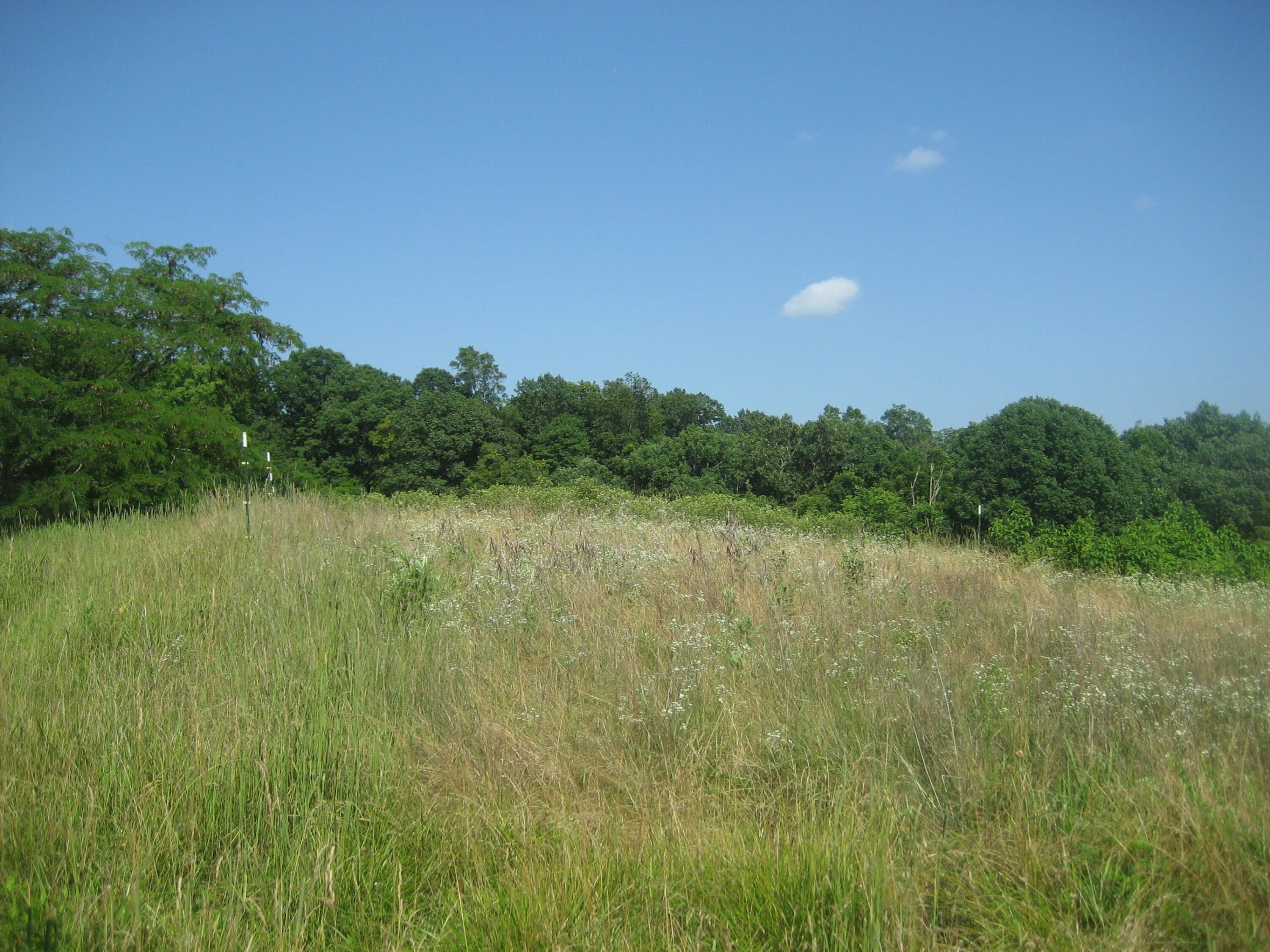 Corinth, Grant County, KY Farms and Ranches for sale Property ID