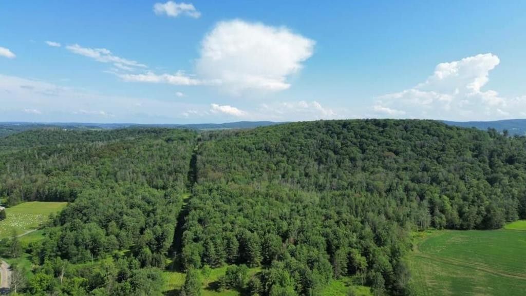 Millerton, Tioga County, PA Farms and Ranches for sale Property ID 416904386 LandWatch