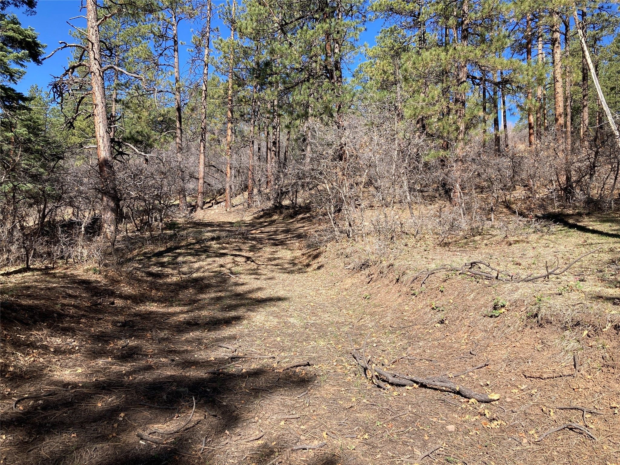 Chama, Rio Arriba County, NM Farms and Ranches, Homesites for sale