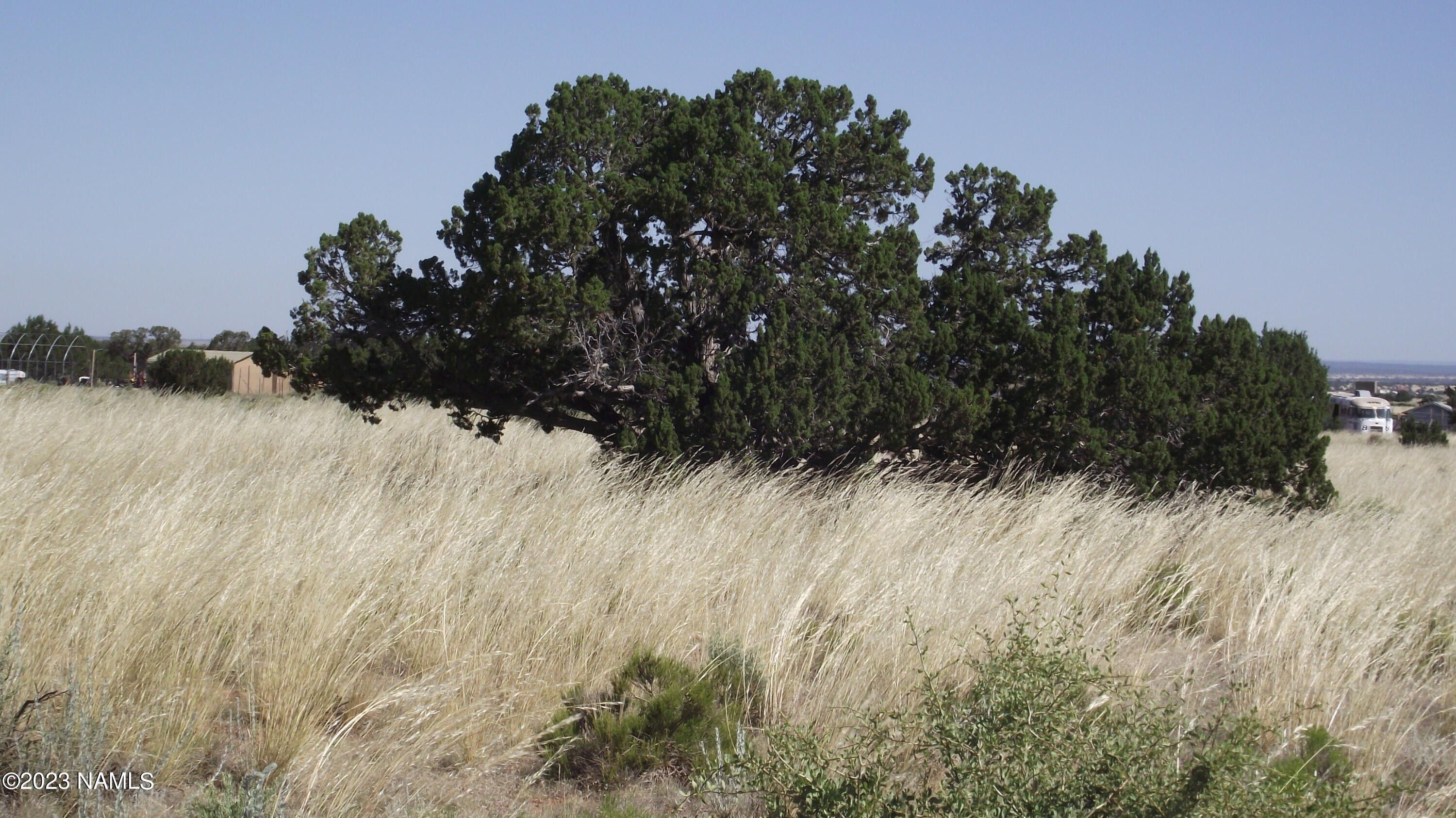 Williams, Coconino County, AZ Farms and Ranches, Homesites for sale