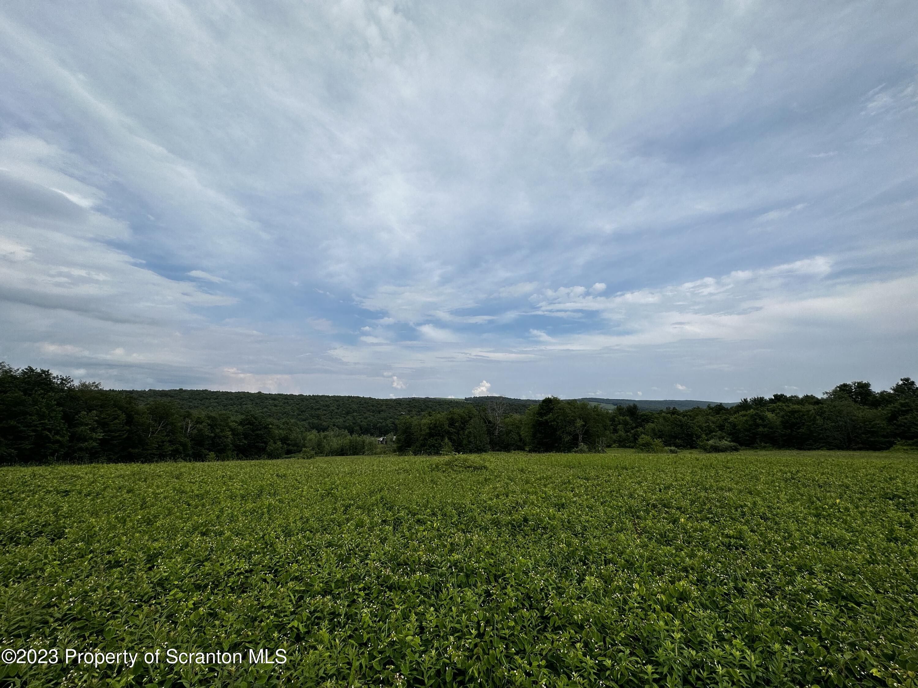 Pleasant Mount, Wayne County, PA Undeveloped Land for sale Property ID