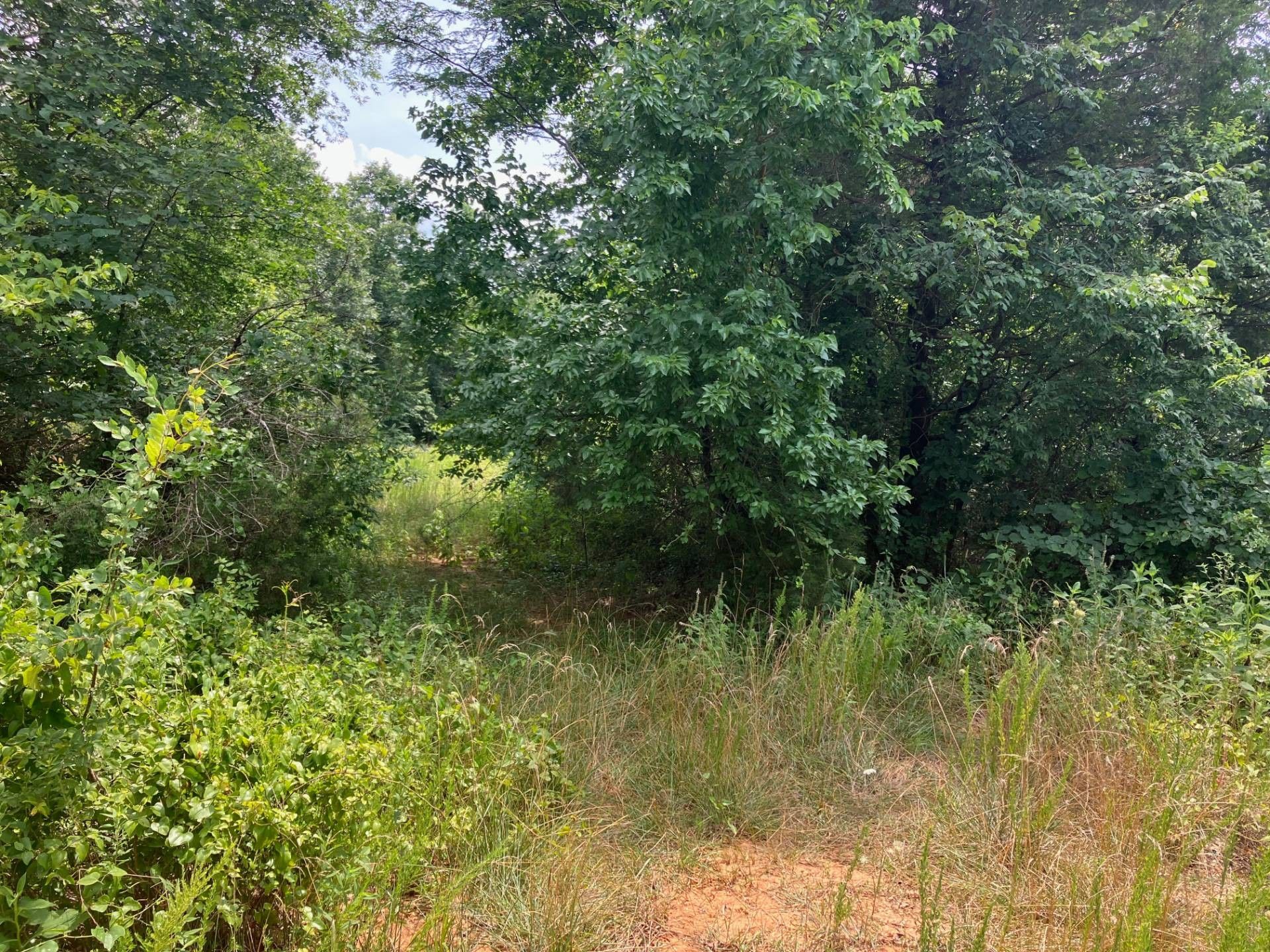 Ravenden Springs, Randolph County, AR Farms and Ranches, Homesites for