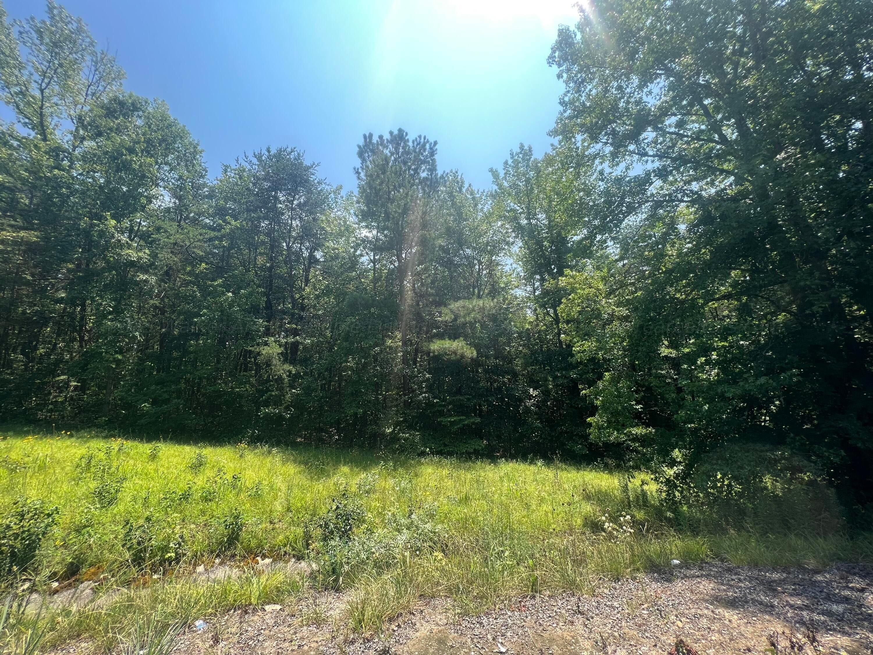 Haleyville, Winston County, AL Undeveloped Land, Homesites for sale