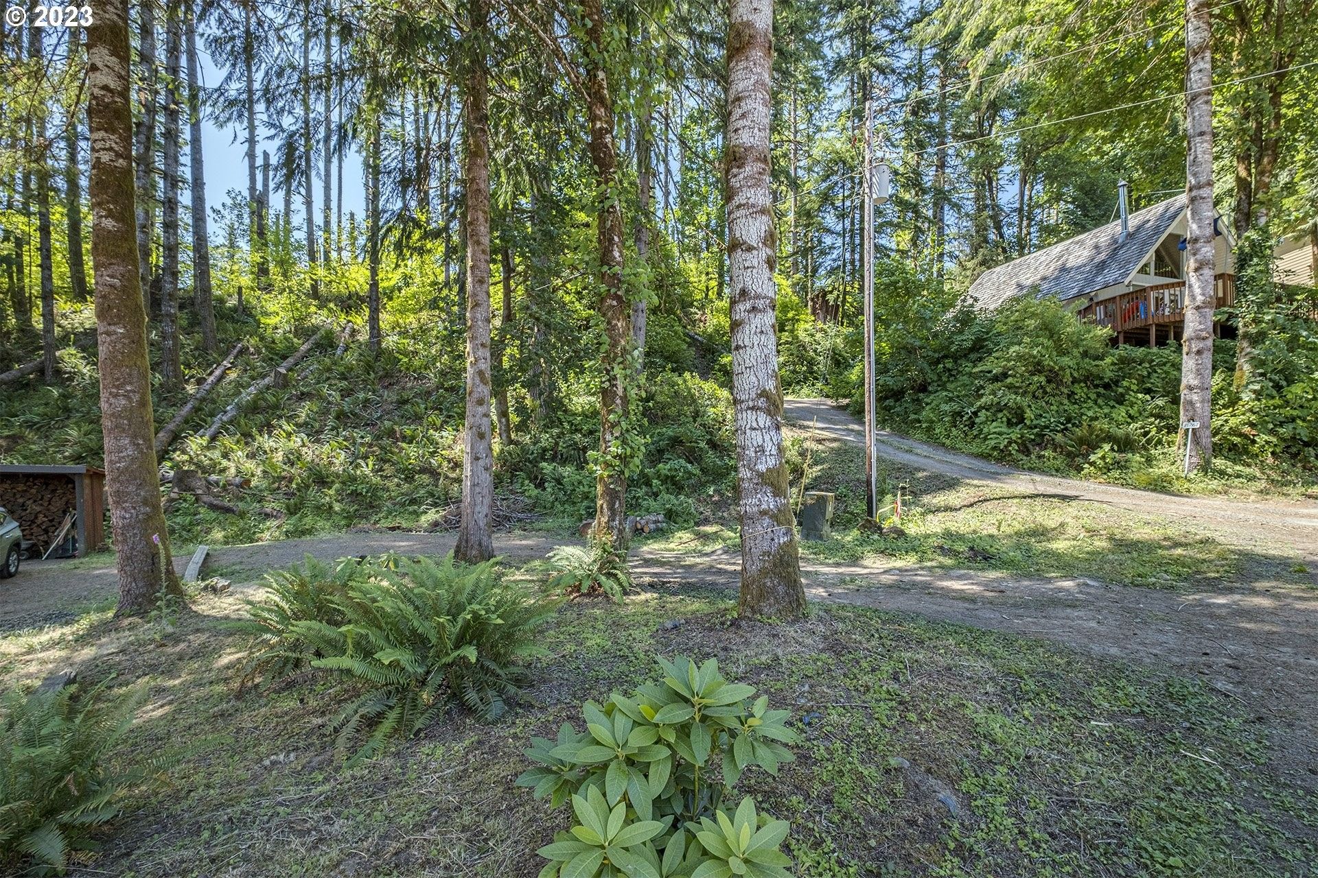 Birkenfeld, Clatsop County, OR Undeveloped Land, Homesites for sale