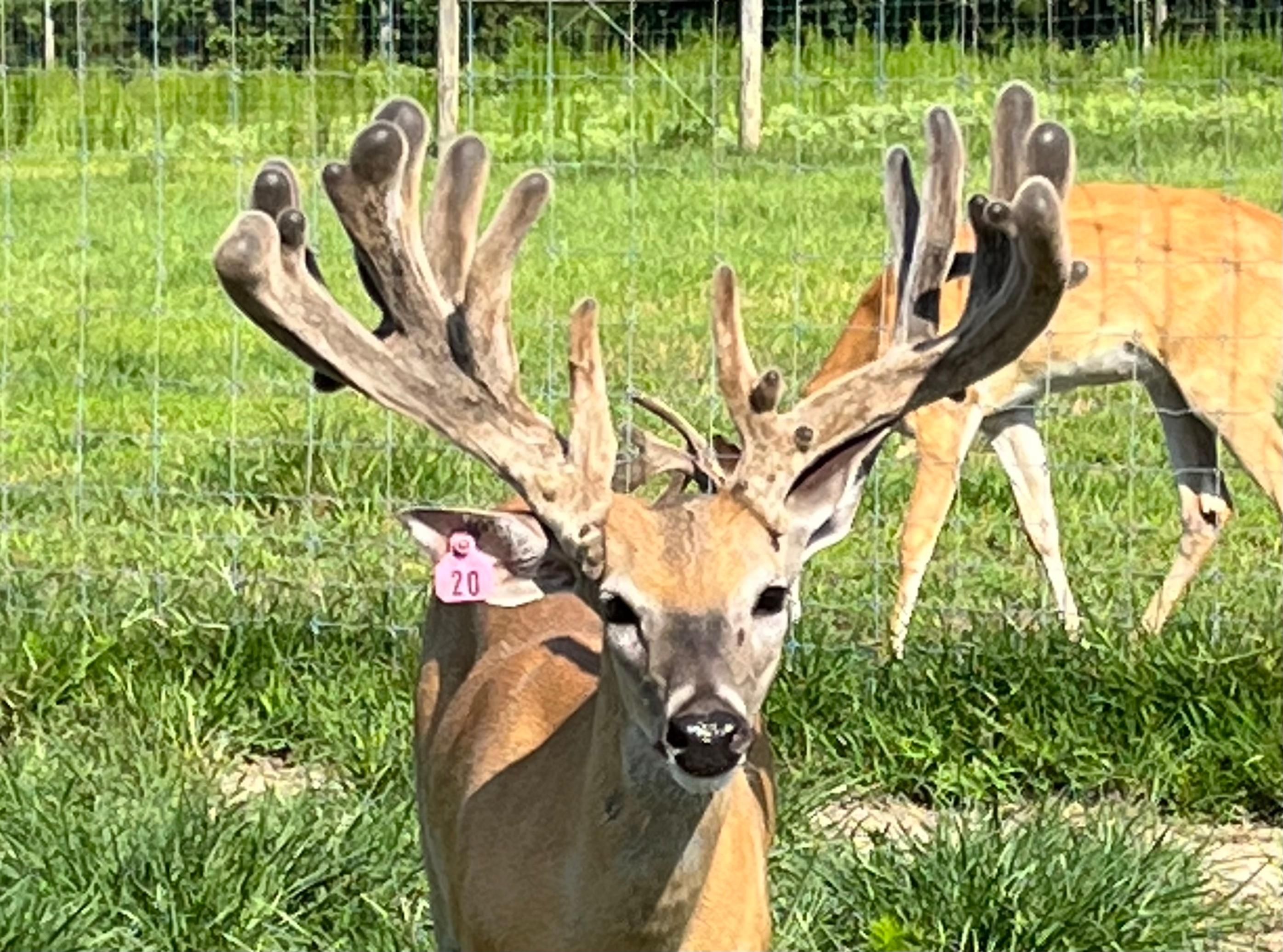 Spearsville, Union Parish, LA Farms and Ranches, Recreational Property