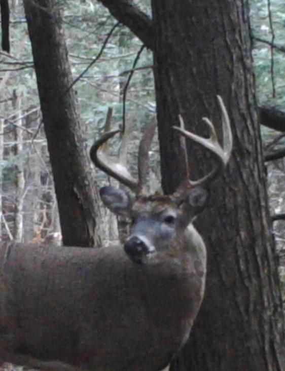 Bowler, Shawano County, WI Recreational Property, Hunting Property for