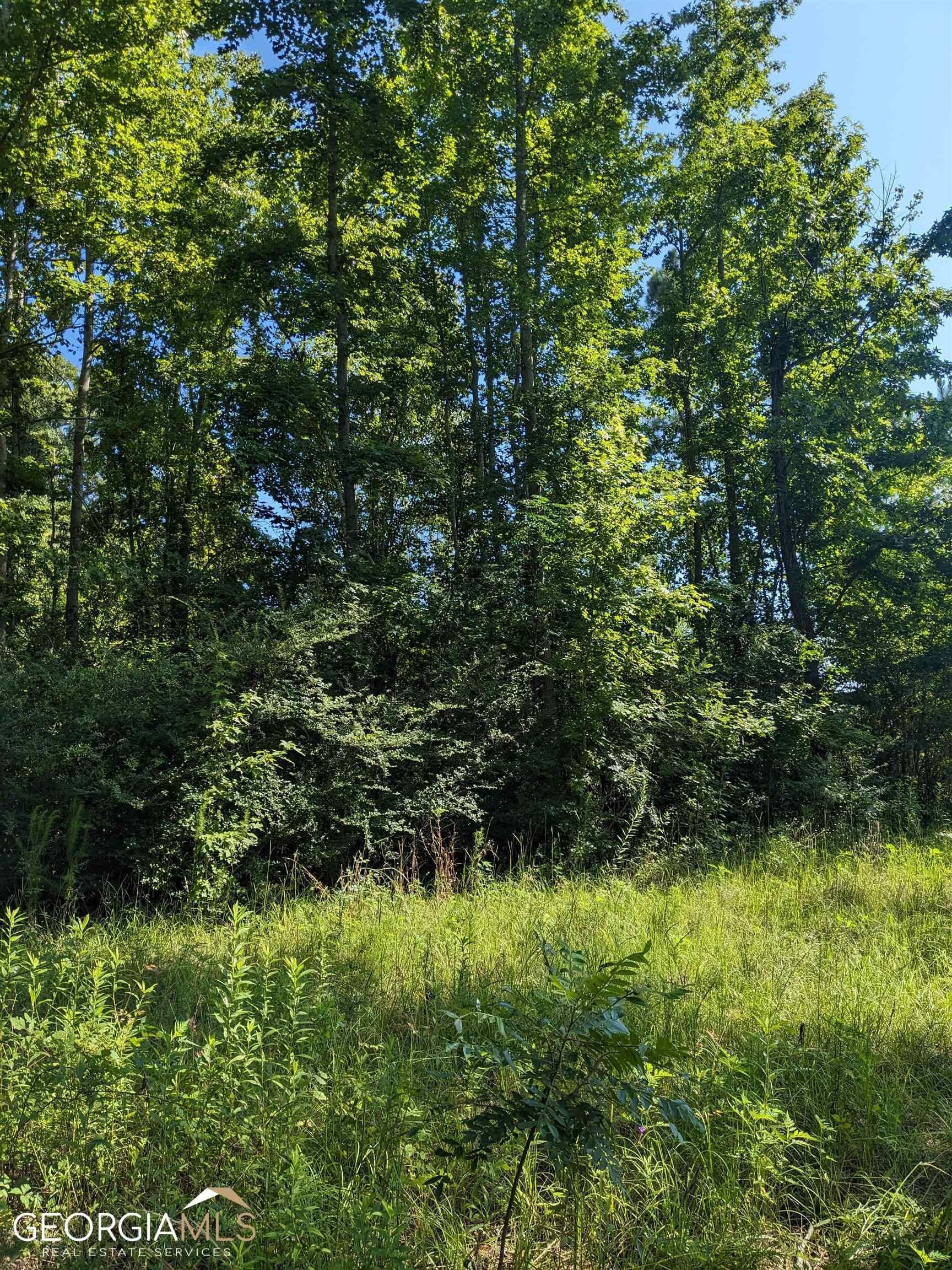 Alamo, Laurens County, GA Farms and Ranches for sale Property ID