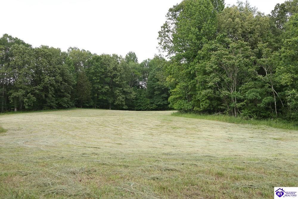 Campbellsville, Taylor County, KY Undeveloped Land for sale Property ID