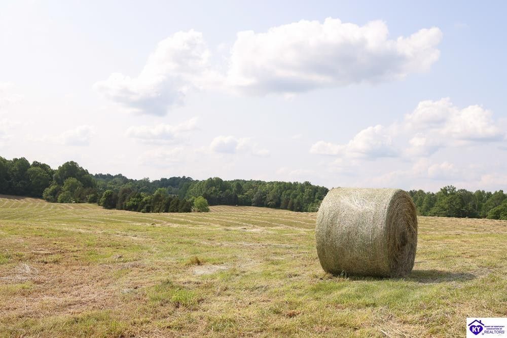 Campbellsville, Taylor County, KY Undeveloped Land for sale Property ID
