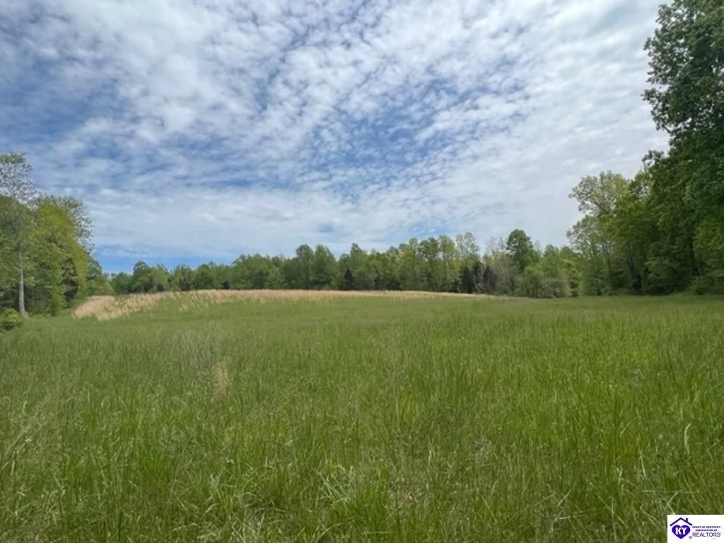 Fordsville, Ohio County, KY Undeveloped Land for sale Property ID
