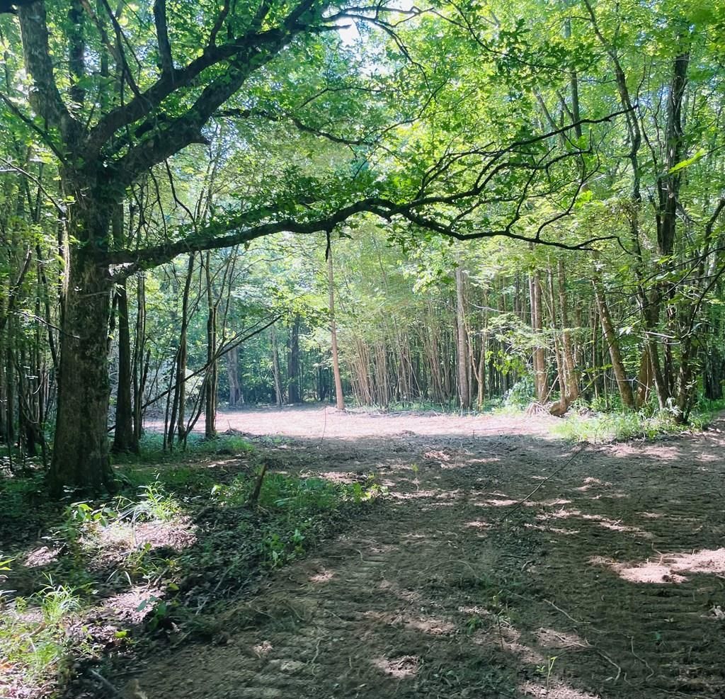 Mississippi 334, Oxford, MS 38655 MLS 153145 LandWatch