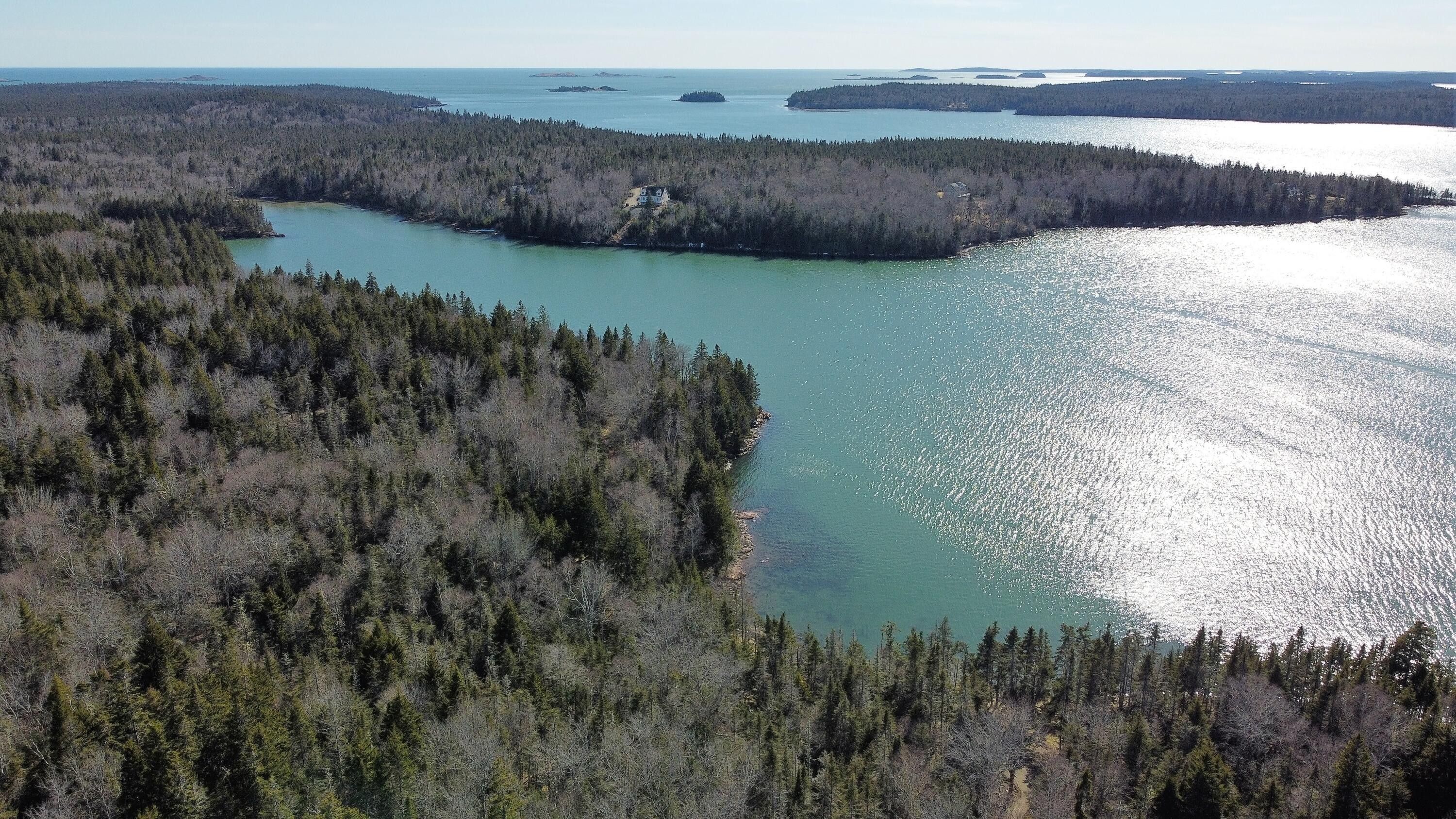 Machiasport, Washington County, ME Undeveloped Land, Lakefront Property