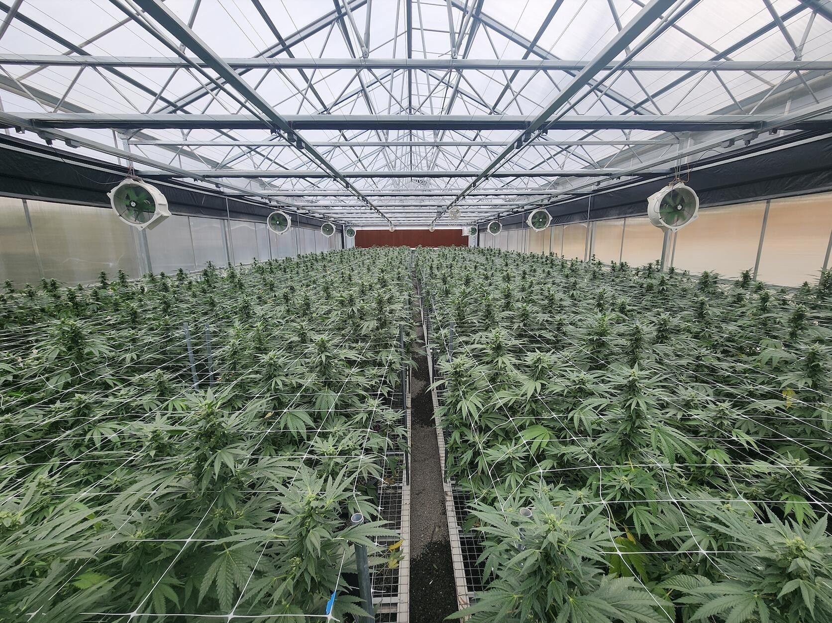 Willow Creek, Humboldt County, CA Undeveloped Land for sale Property ID