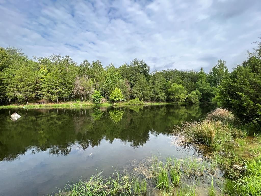 Bybee, Cocke County, TN Farms and Ranches for sale Property ID