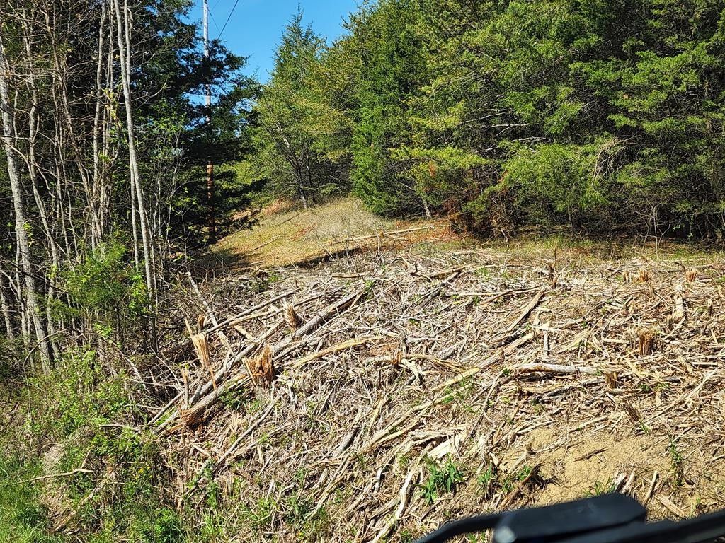 BUSLER Road, Bybee, TN 37713 MLS 611900 LandWatch