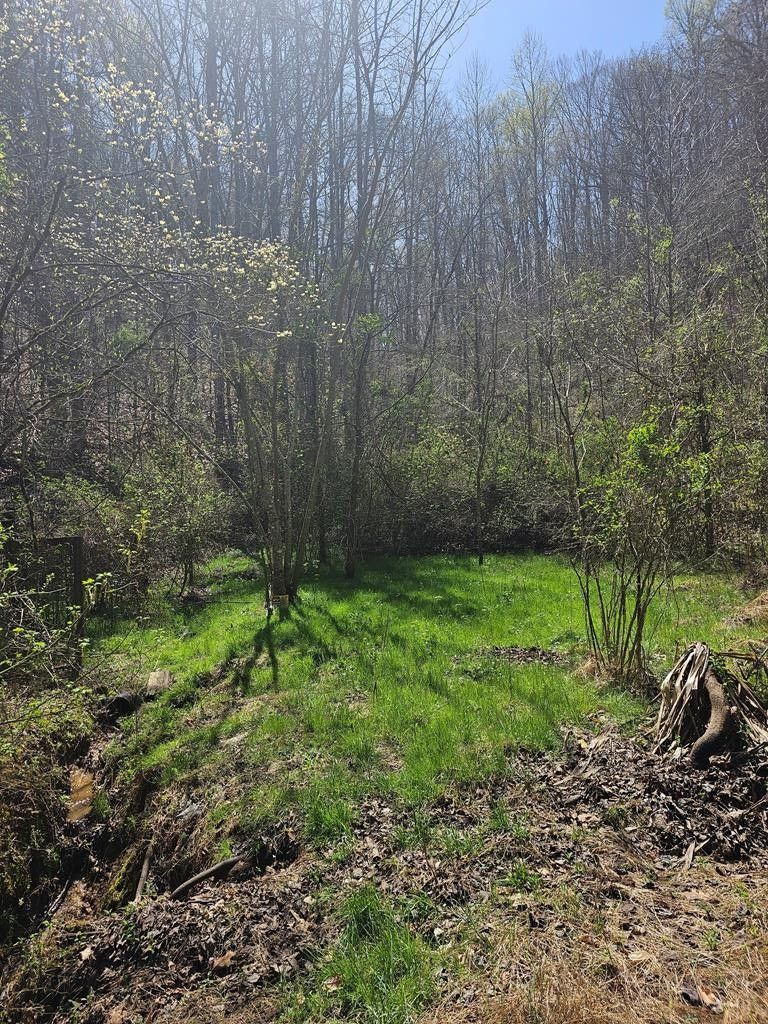 Seymour, Sevier County, TN Farms and Ranches for sale Property ID