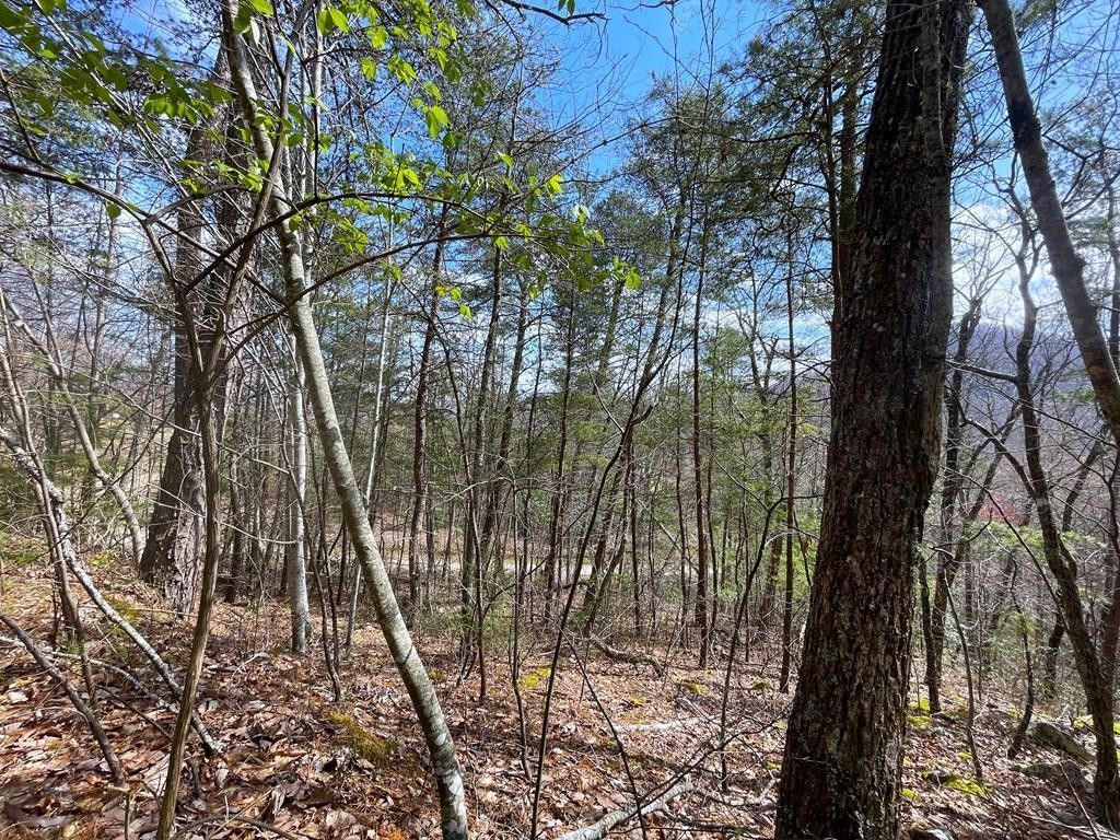 Cosby, Cocke County, TN Farms and Ranches for sale Property ID