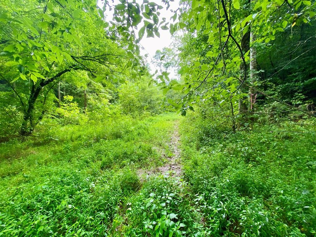 Del Rio, Cocke County, TN Farms and Ranches for sale Property ID