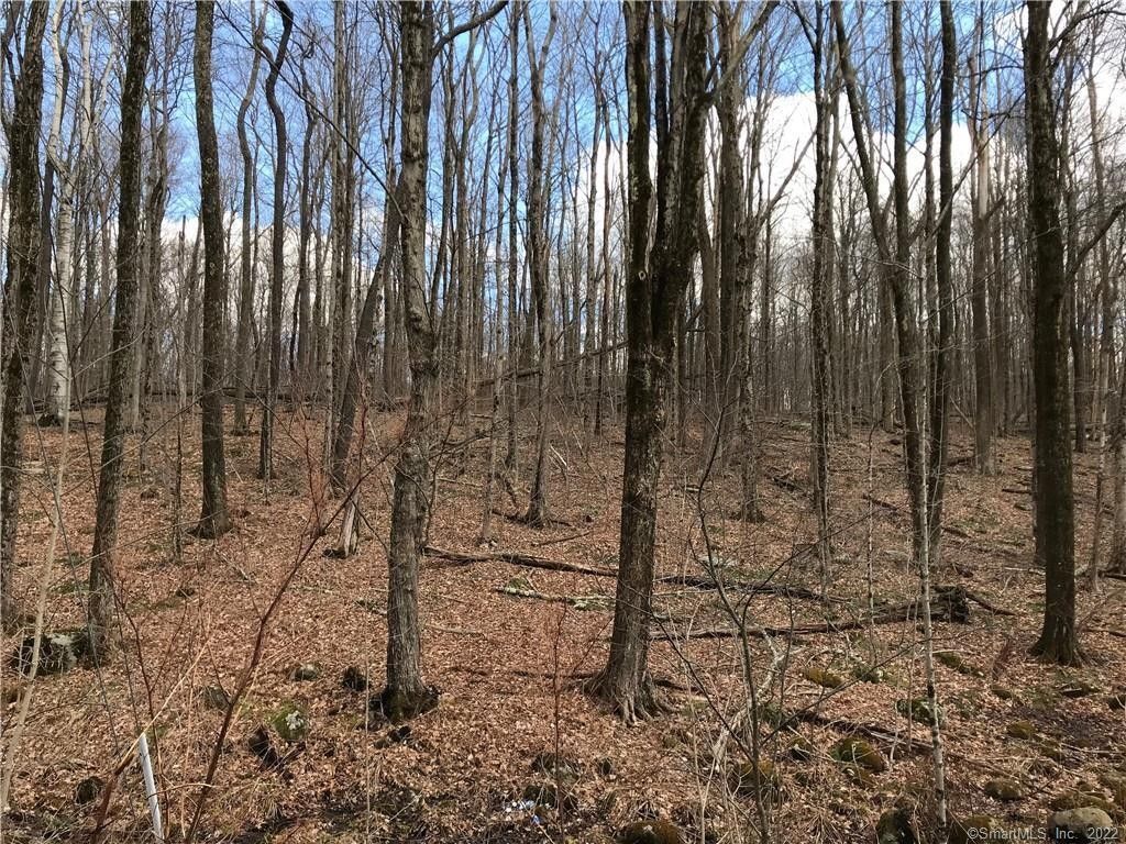 Torrington, Litchfield County, CT Undeveloped Land for sale Property ID