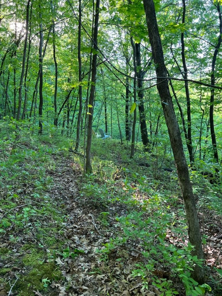 Ankeny, Polk County, IA Undeveloped Land for sale Property ID