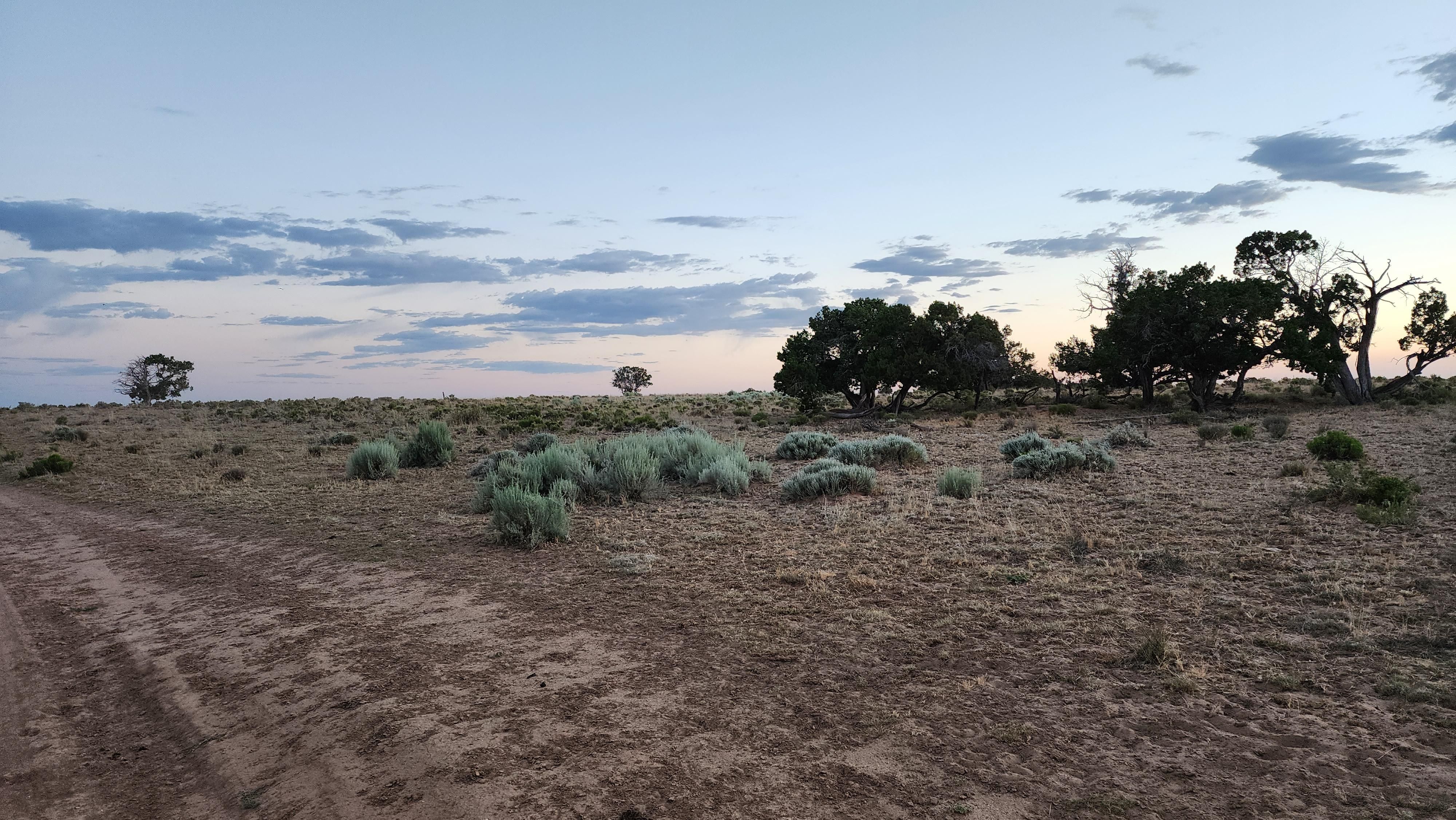 Concho, Apache County, AZ Recreational Property, Undeveloped Land for
