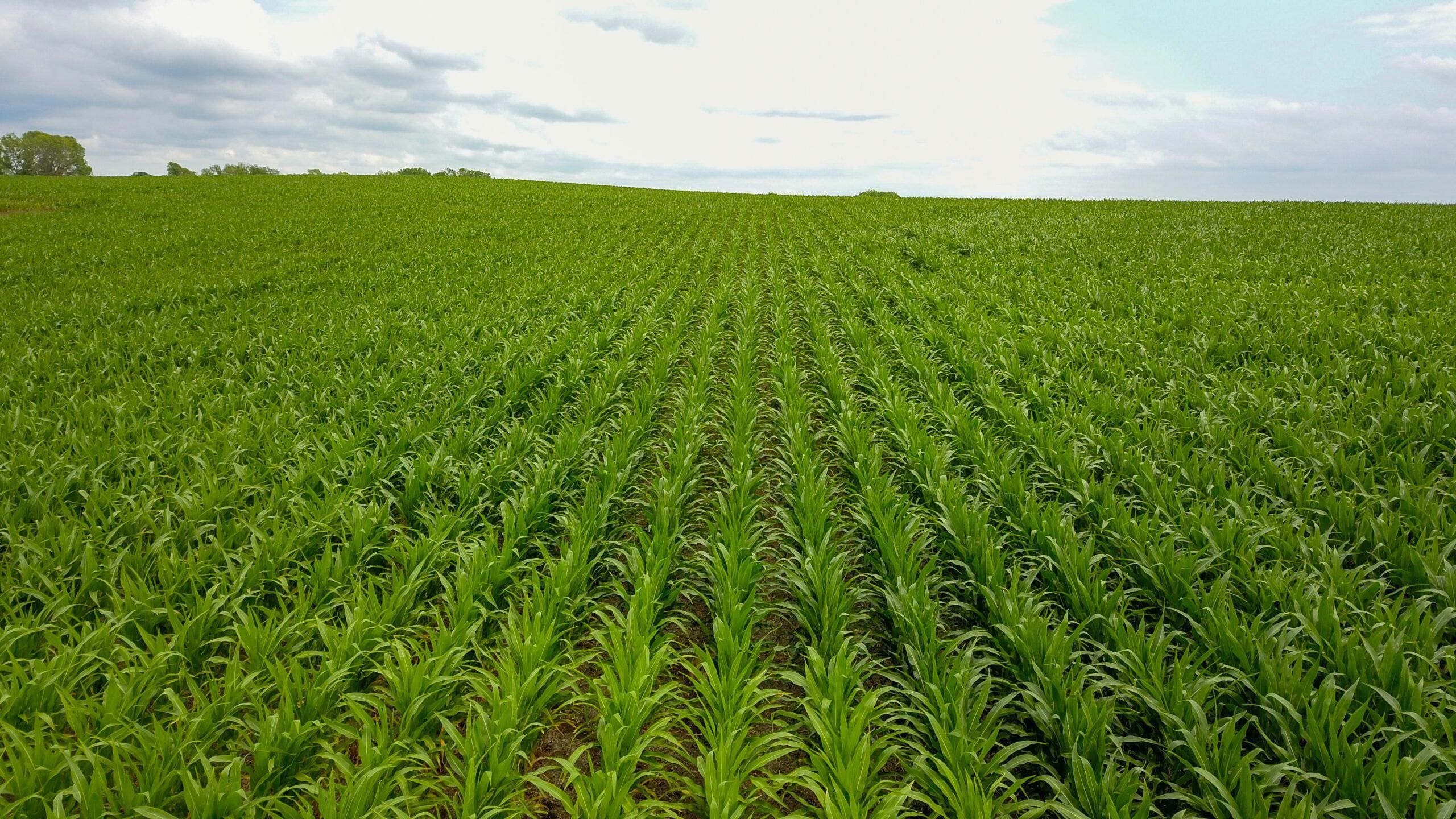 Pleasant Dale, Seward County, NE Farms and Ranches, Recreational