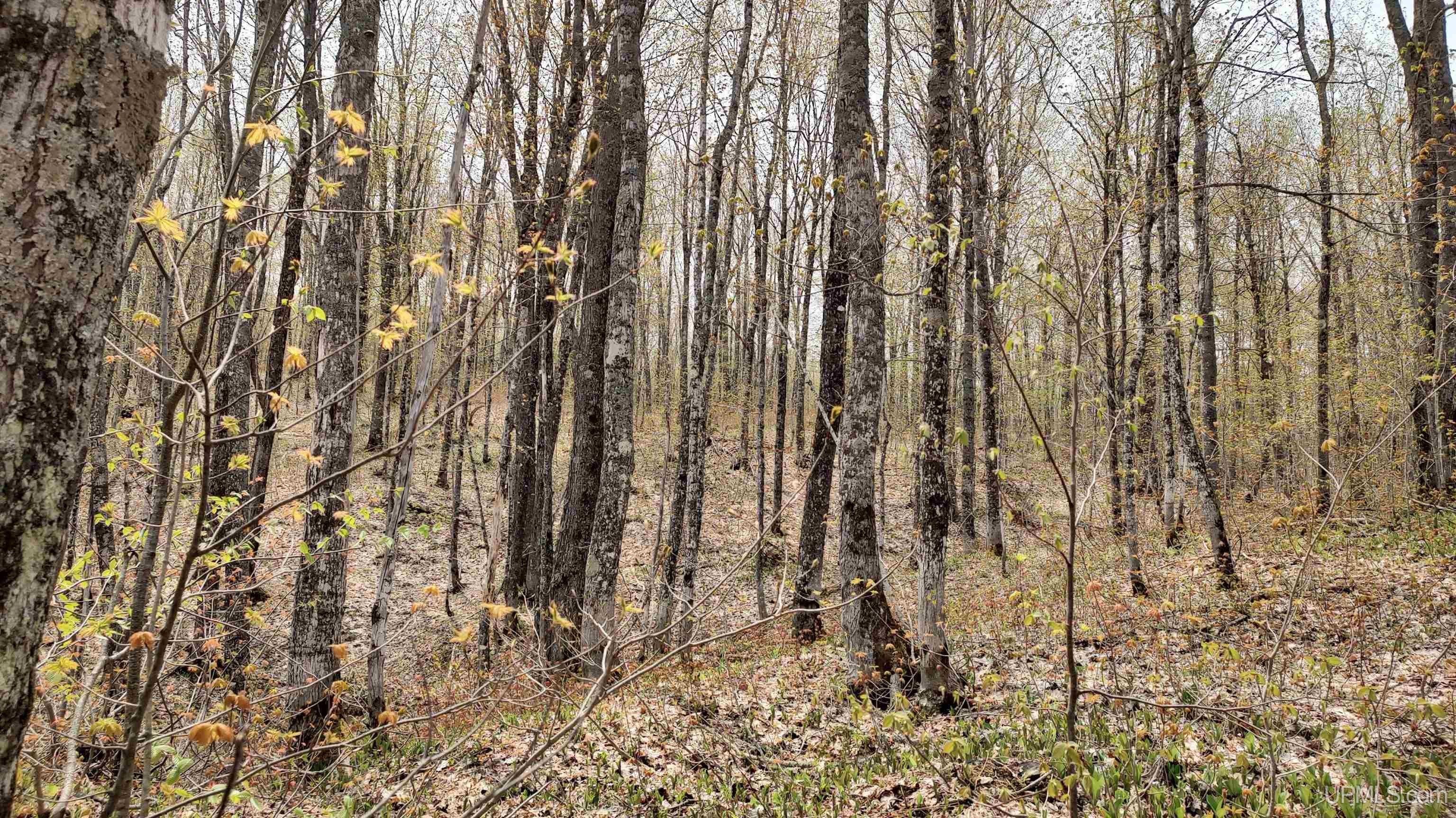 Atlantic Mine, Houghton County, MI Undeveloped Land for sale Property