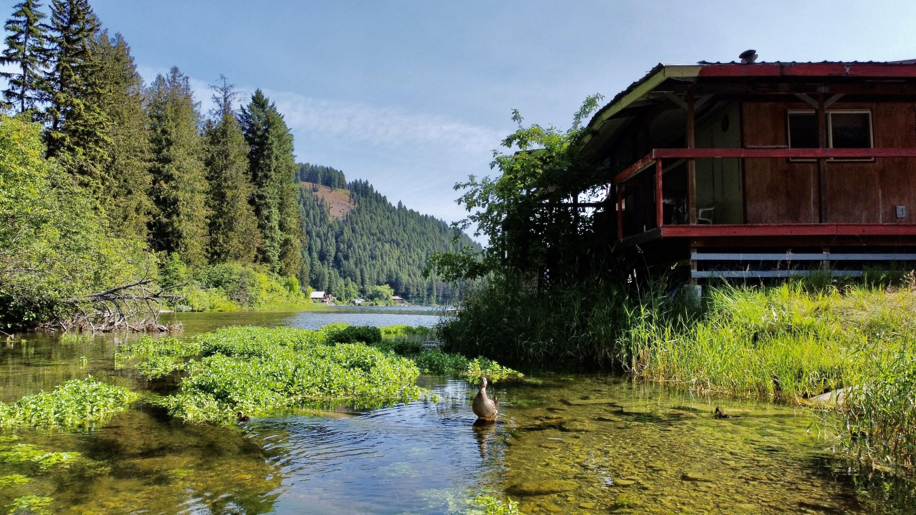 Colville, Stevens County, WA Lakefront Property, Waterfront Property