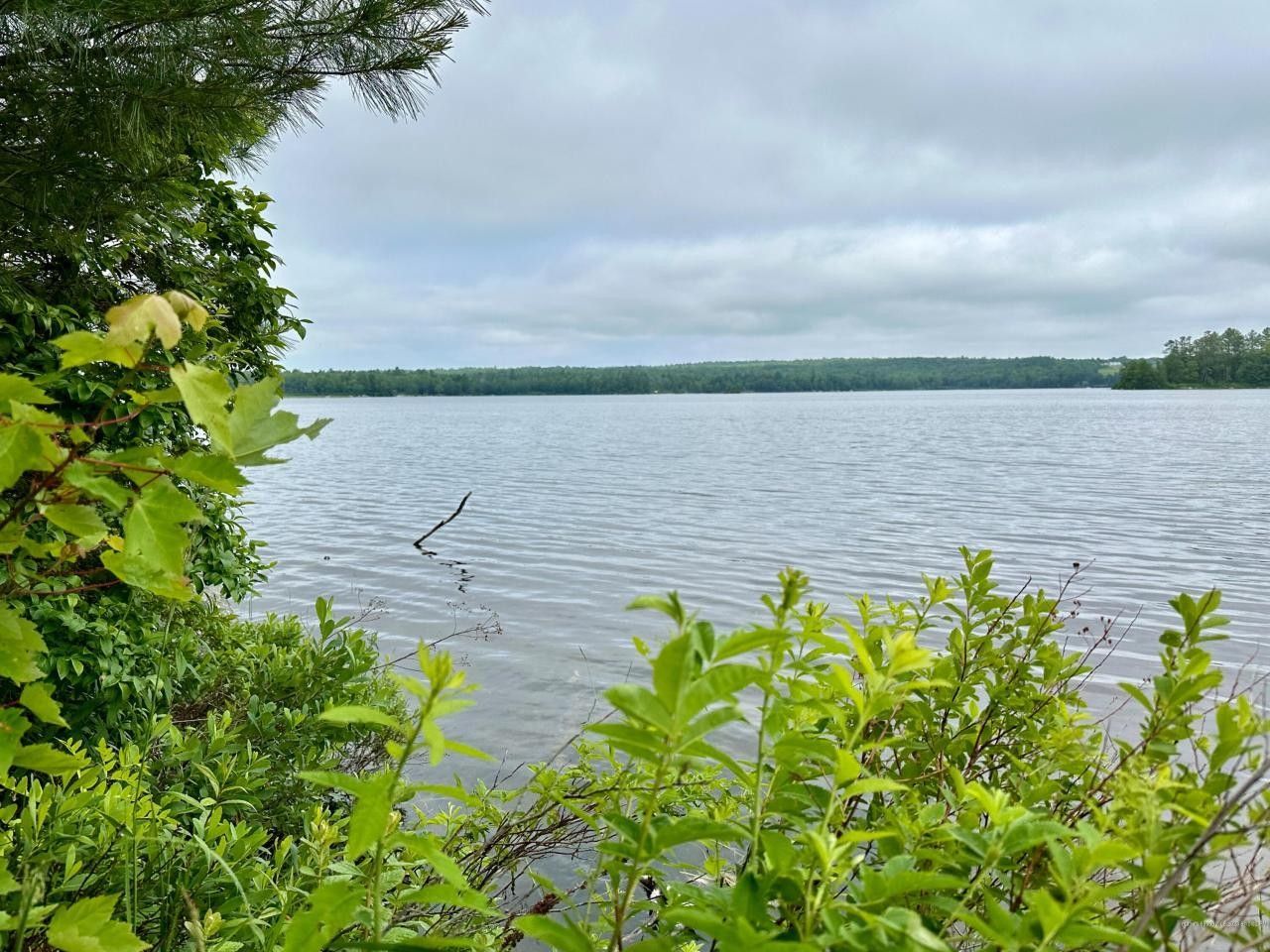 Surry, Hancock County, ME for sale Property ID 416924842 LandWatch