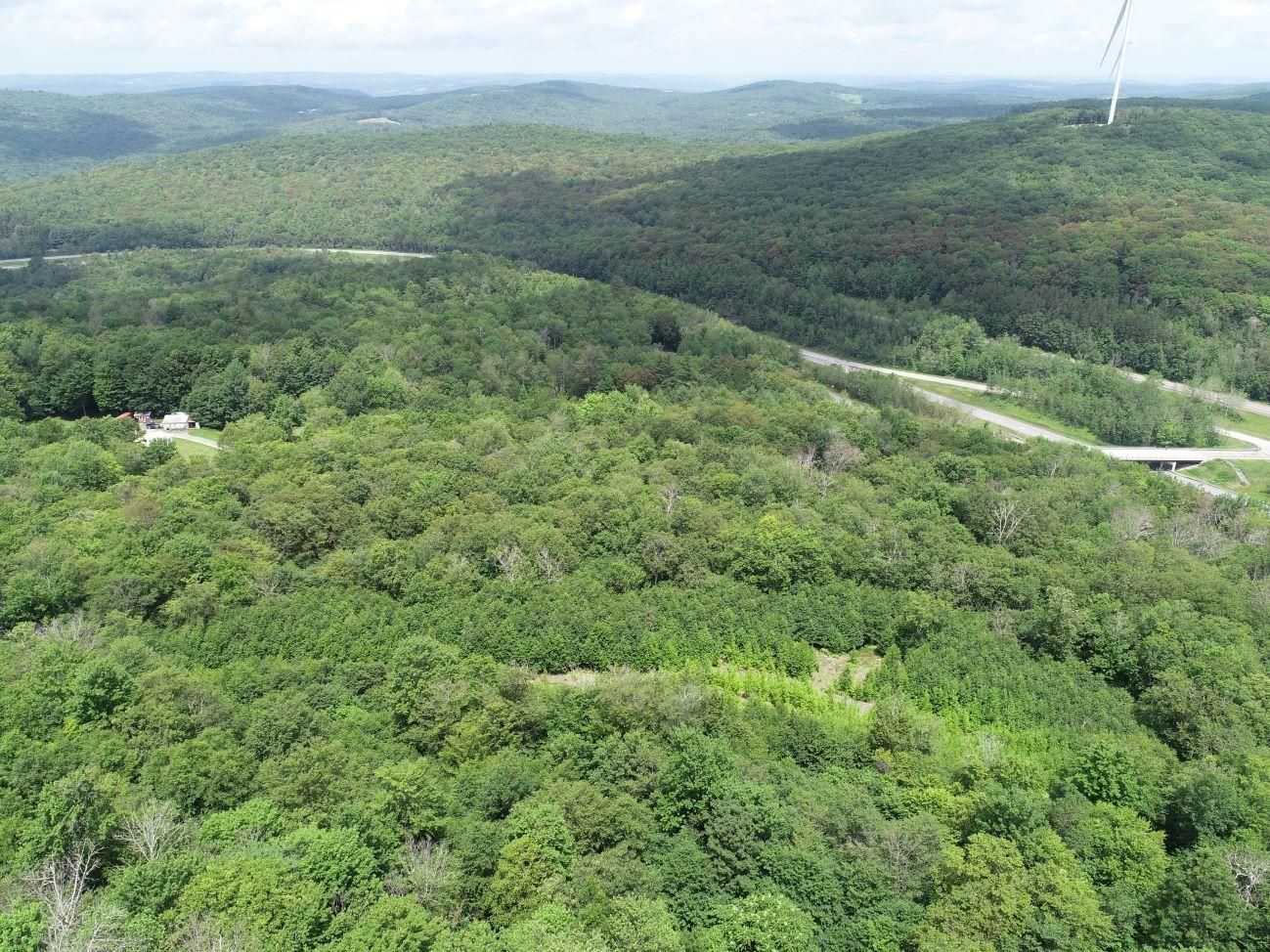 Windsor, Broome County, NY Recreational Property, Undeveloped Land for