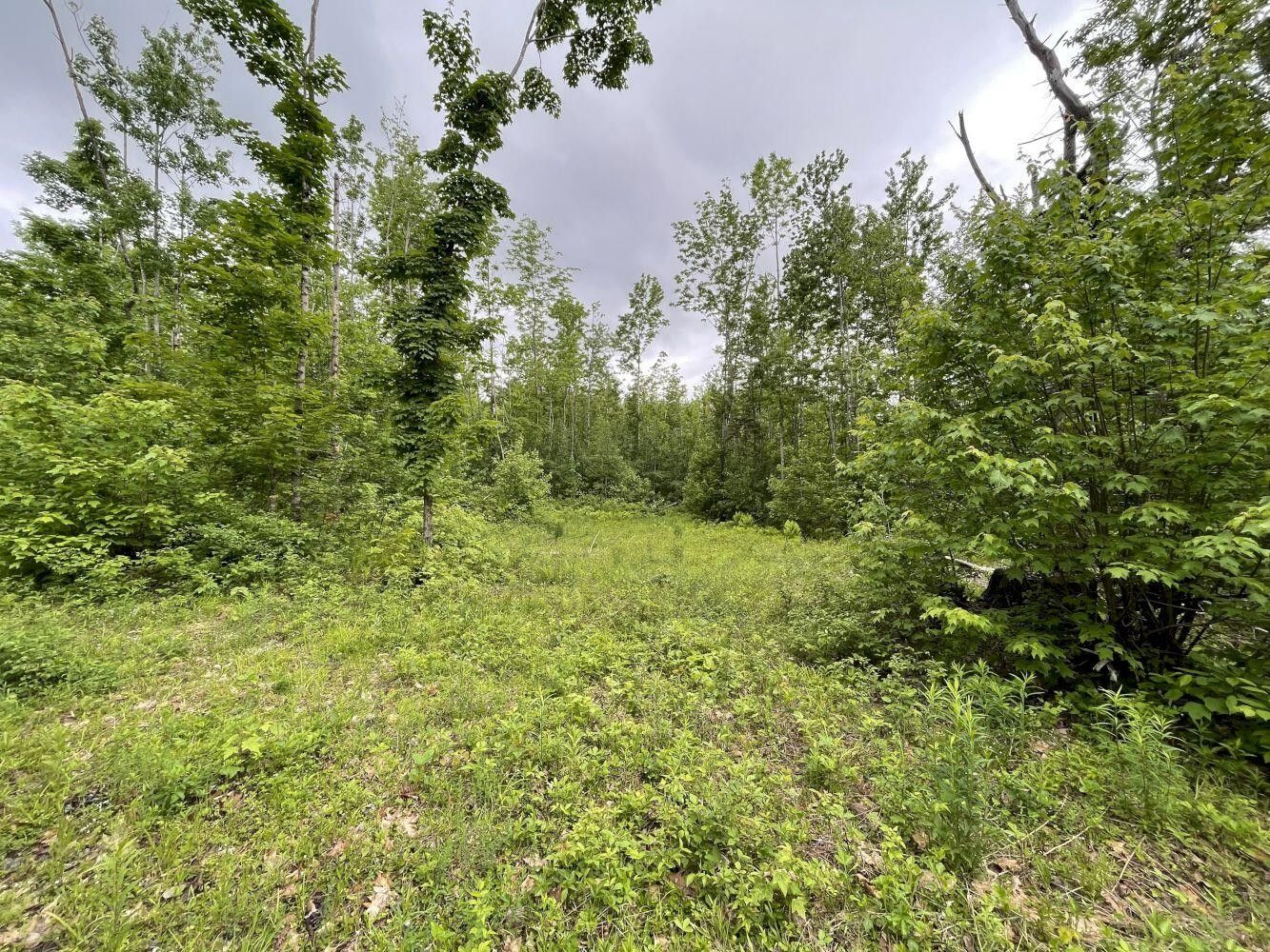 New Vineyard, Franklin County, ME Farms and Ranches for sale Property