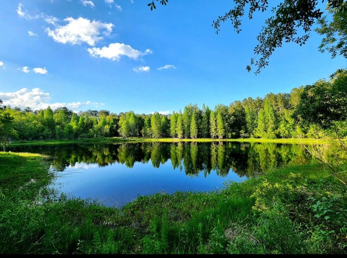 White Springs, Hamilton County, FL Recreational Property, Hunting Property, Lakefront Property