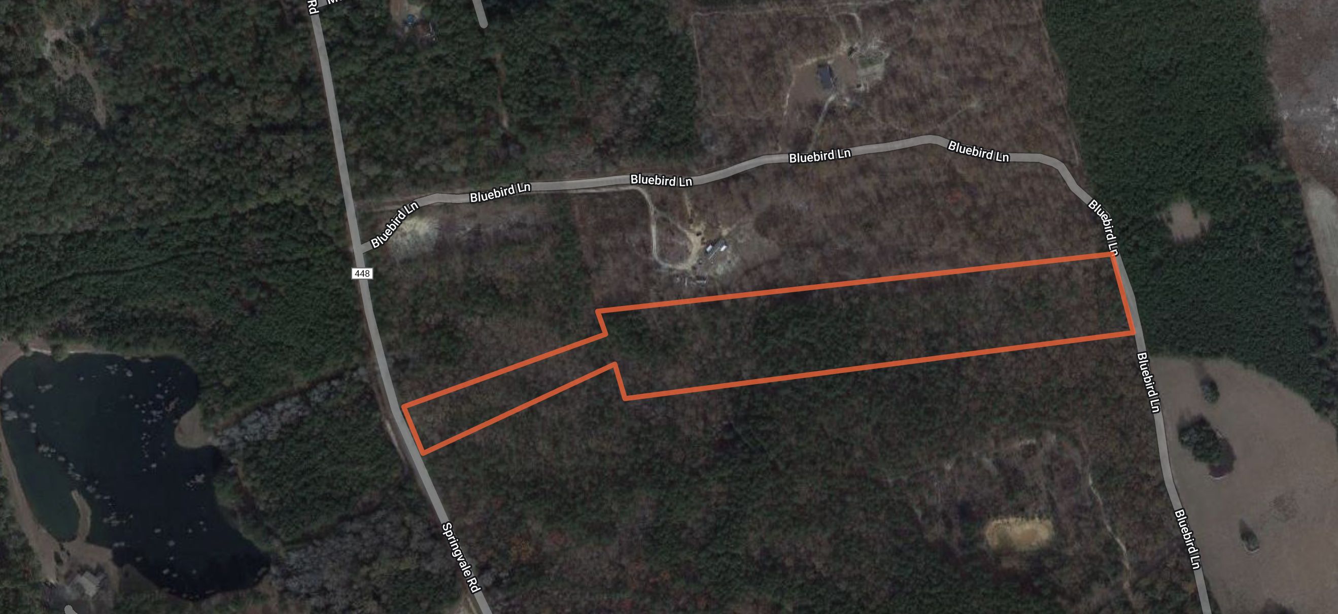 Lee County, SC Timberland Property, Hunting Property for