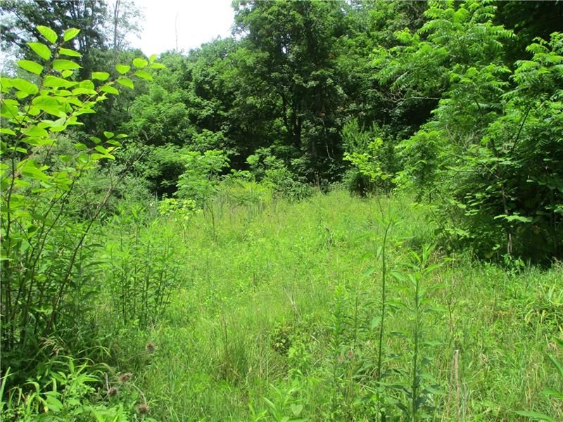 Avella, Washington County, PA Homesites for sale Property ID 416926041