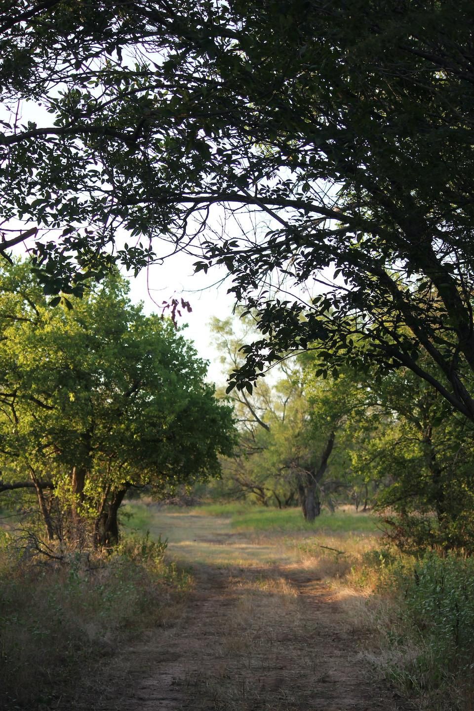 Iowa Park, Wichita County, TX Recreational Property, Hunting Property