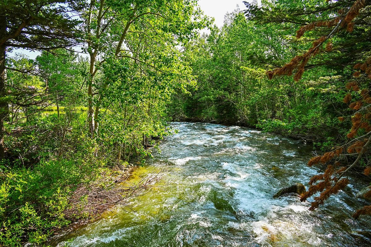 Lower Wapiti Valley Rd, Red Lodge, MT 59068 LandWatch