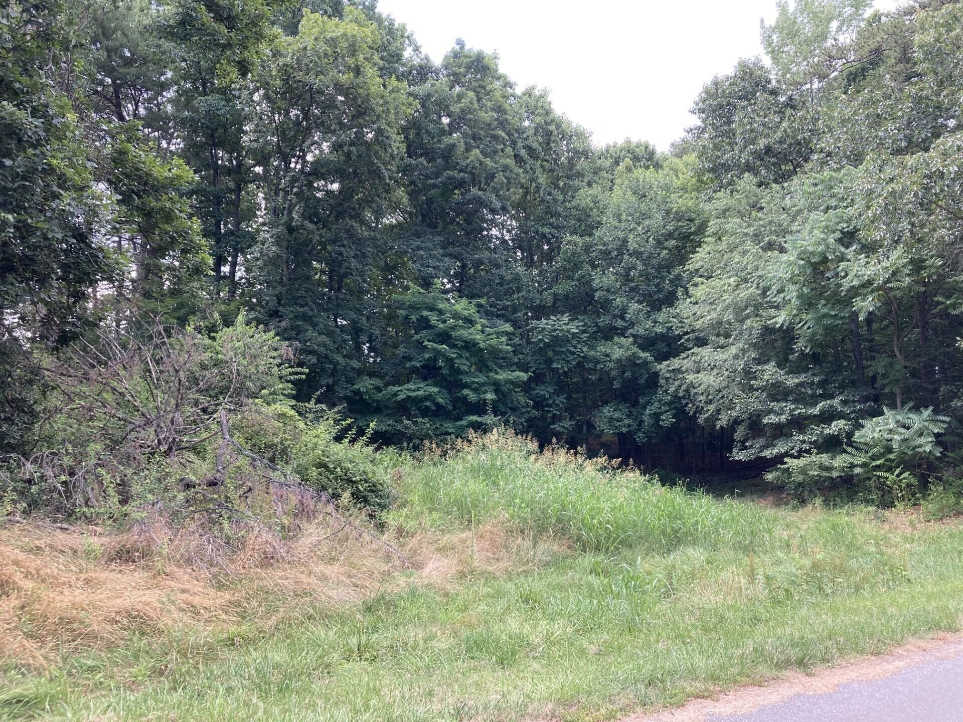 Roanoke, Roanoke County, VA Homesites for sale Property ID 416927447