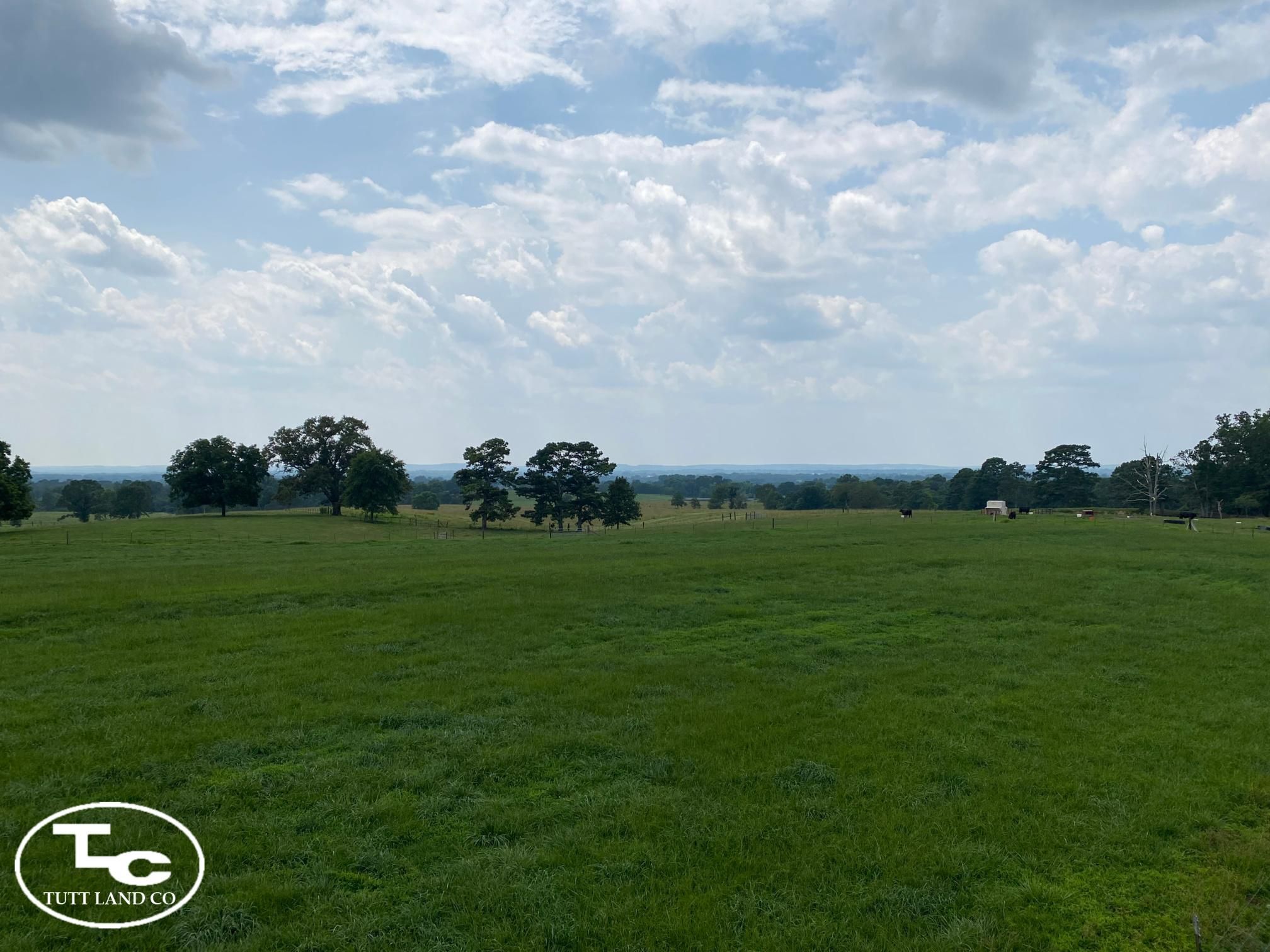 Altoona, Blount County, AL Farms and Ranches for sale Property ID