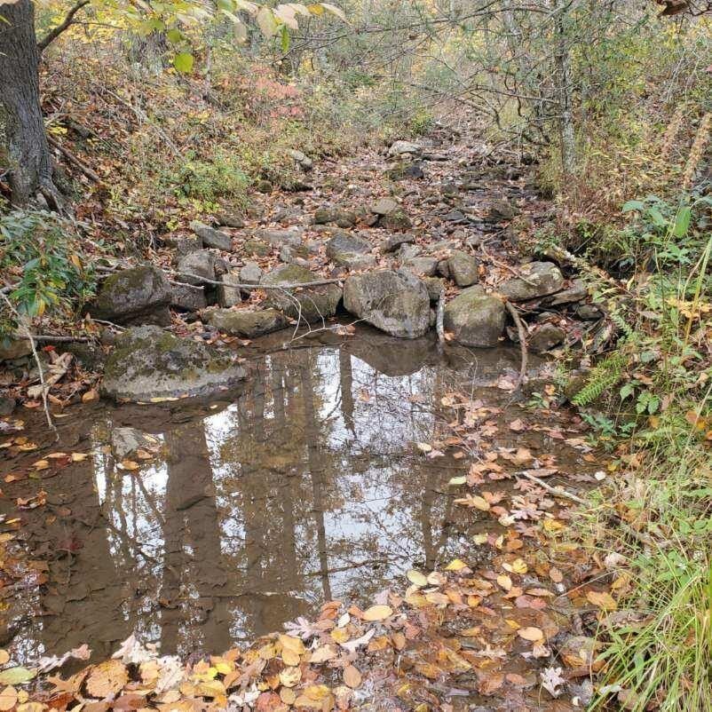 Millboro, Bath County, VA Undeveloped Land for sale Property ID