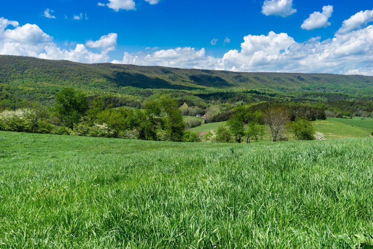 Raphine, Rockbridge County, VA Undeveloped Land for sale Property ID