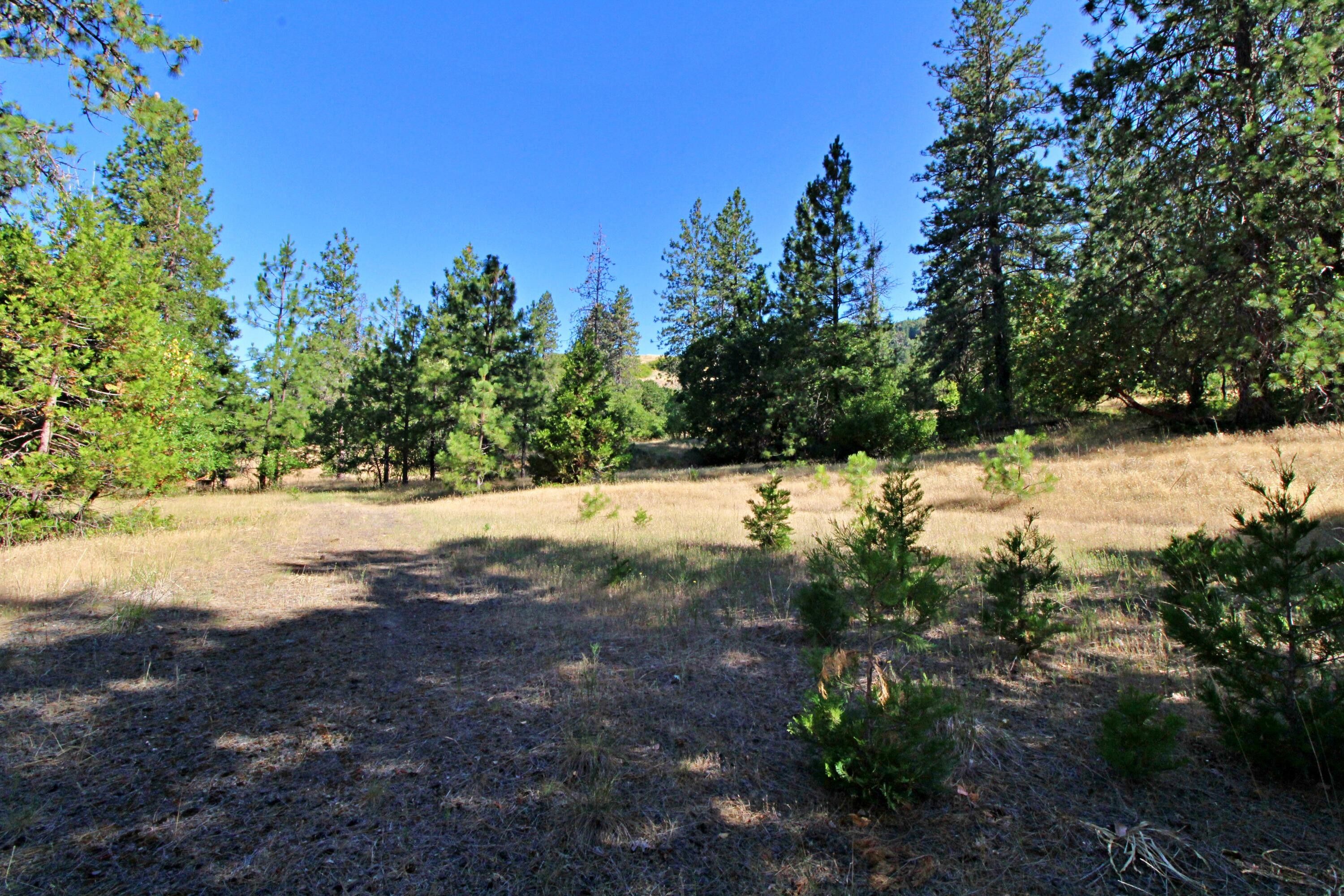 Grants Pass, Josephine County, OR Undeveloped Land for sale Property ID