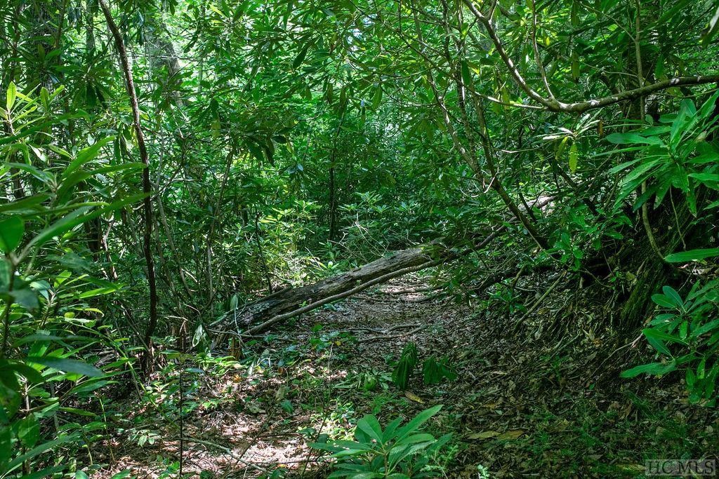 Sapphire, Transylvania County, NC Undeveloped Land for sale Property ID