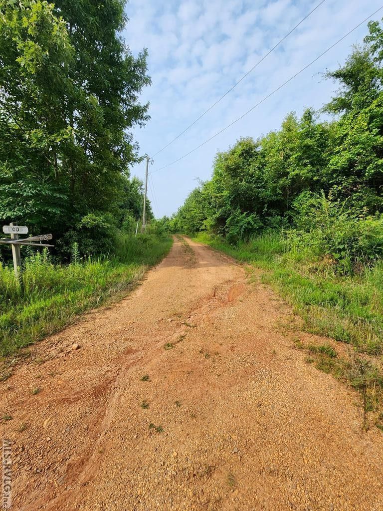 Gaston, Northampton County, NC Undeveloped Land for sale Property ID