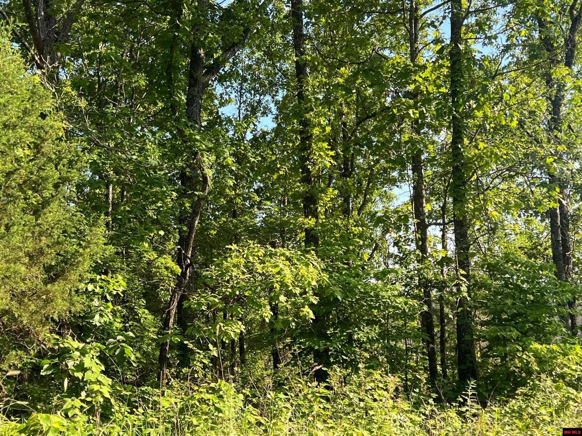 Caulfield, Ozark County, MO Undeveloped Land for sale Property ID