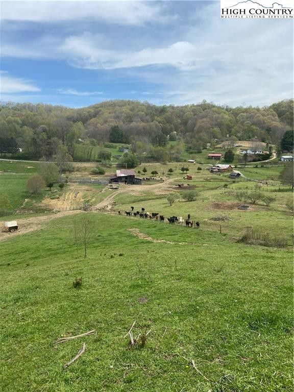 Mouth Of Wilson, Grayson County, VA Undeveloped Land for sale Property