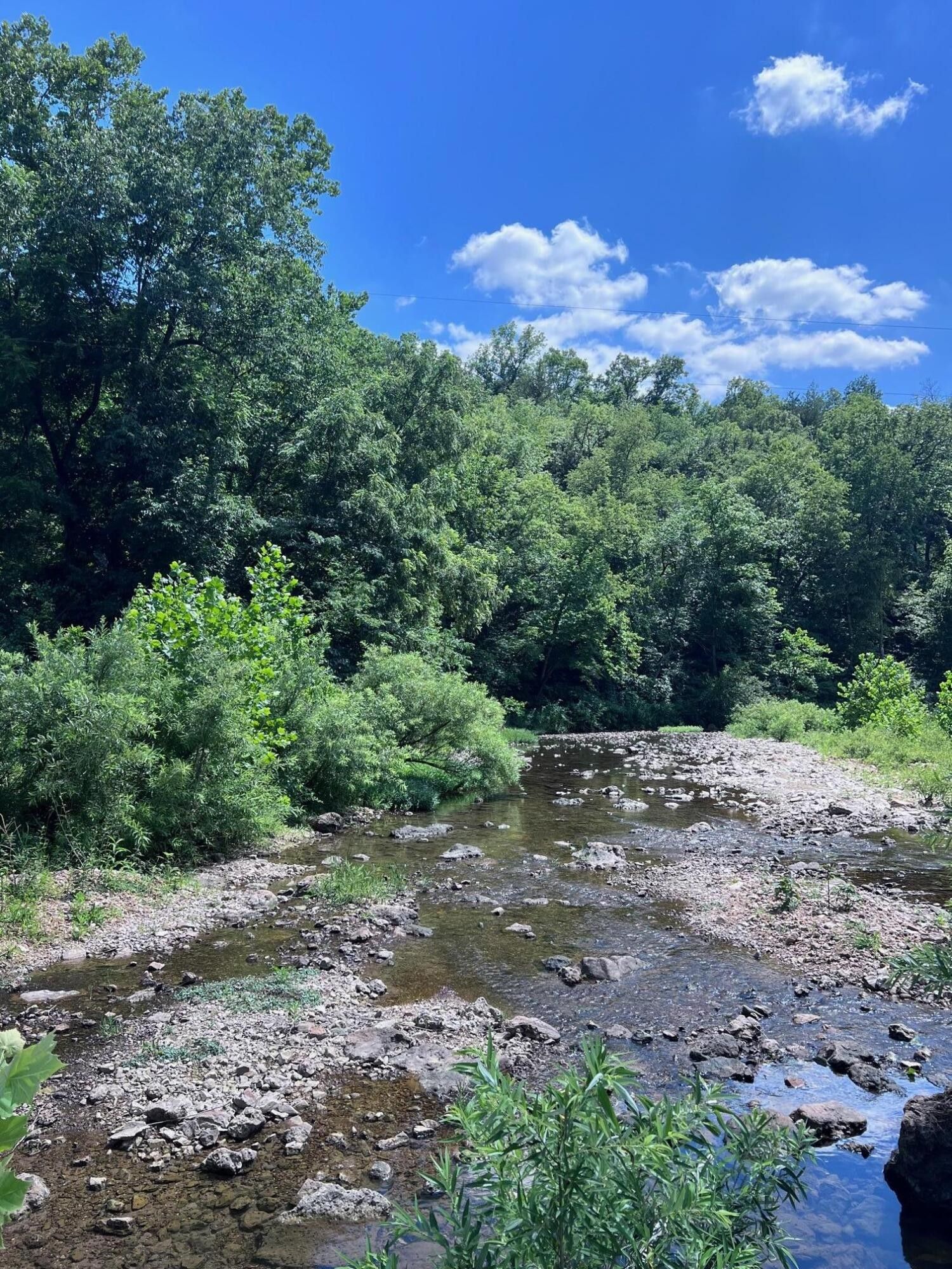 Caulfield, Ozark County, MO Undeveloped Land for sale Property ID