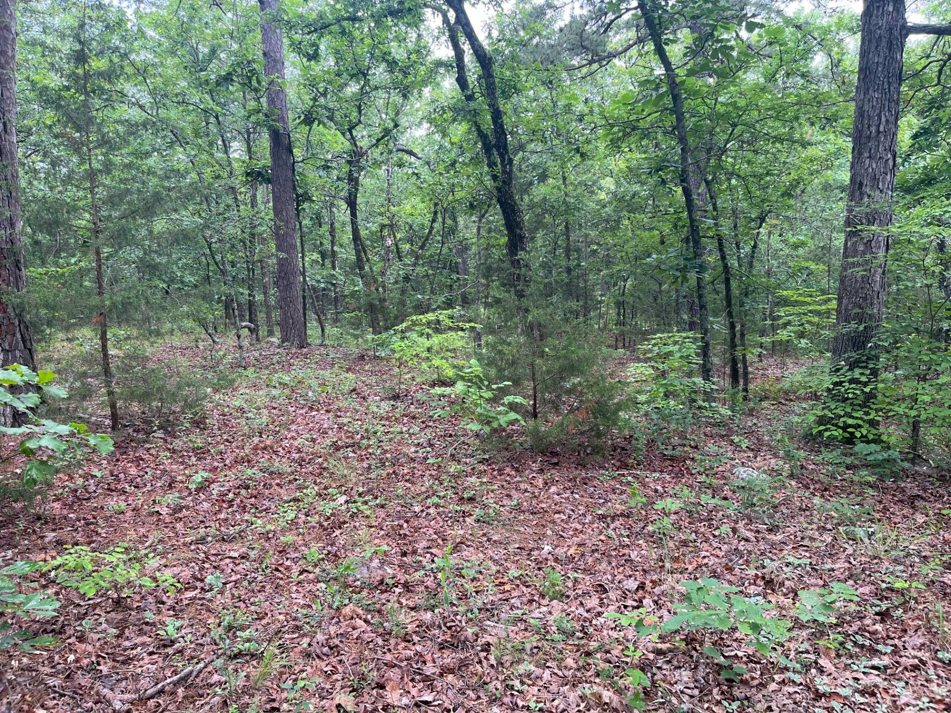Wilburton, Latimer County, OK Undeveloped Land, Homesites for sale